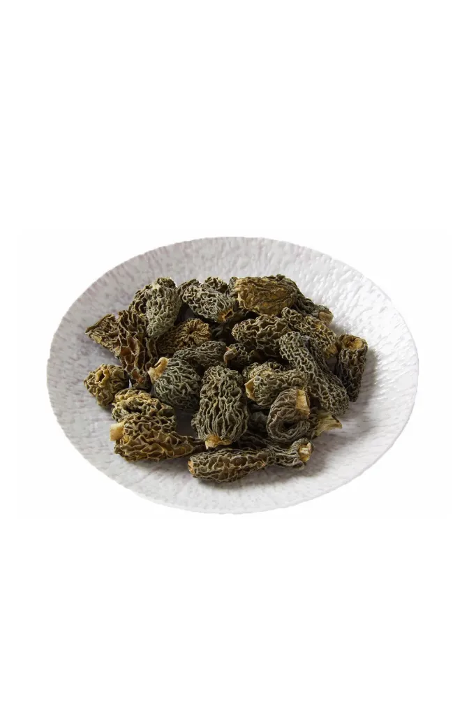 野生羊肚菌