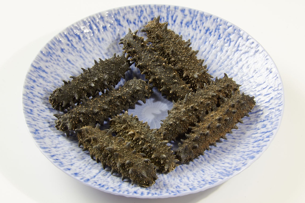 北海道刺參 9克