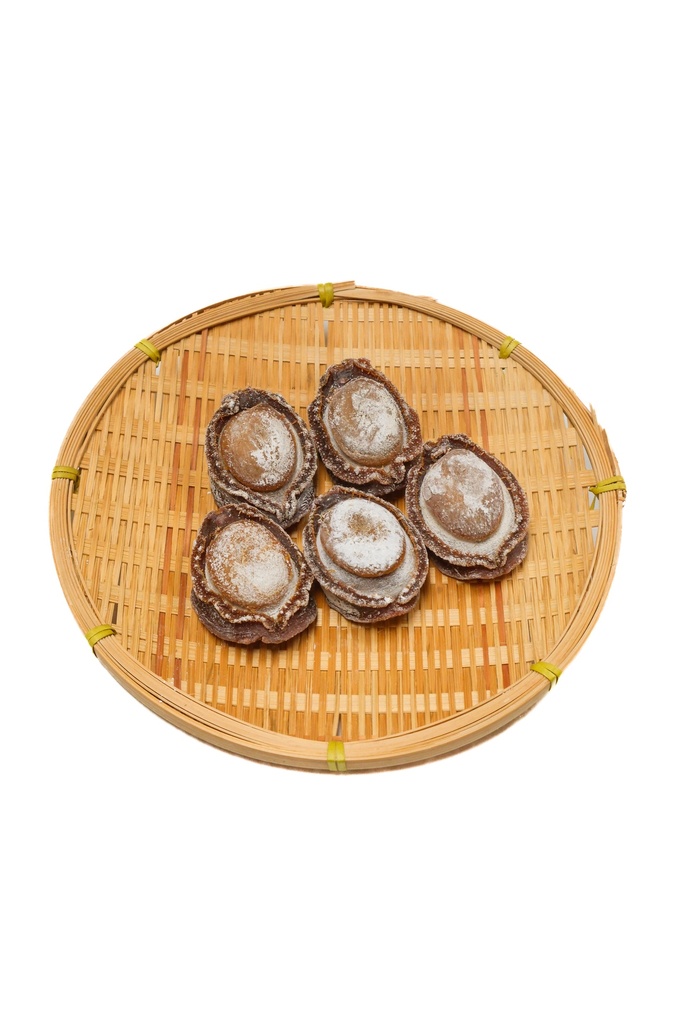 澳洲網鮑31-40克