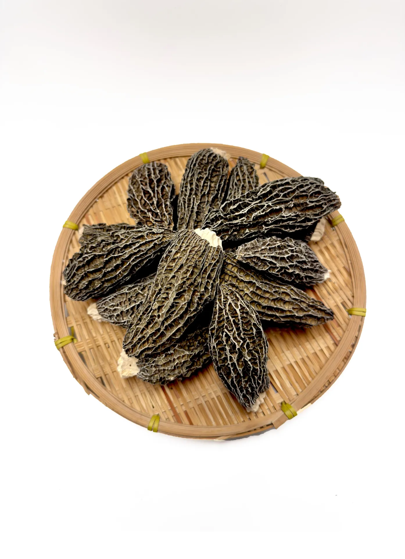 羊肚菌8-10CM